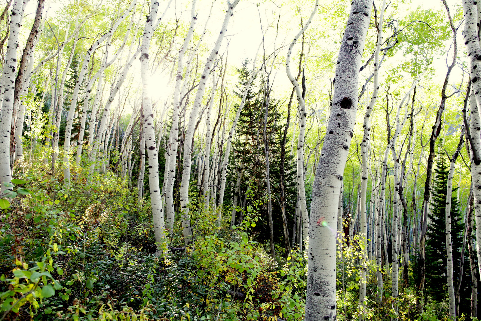 Colourful Utah